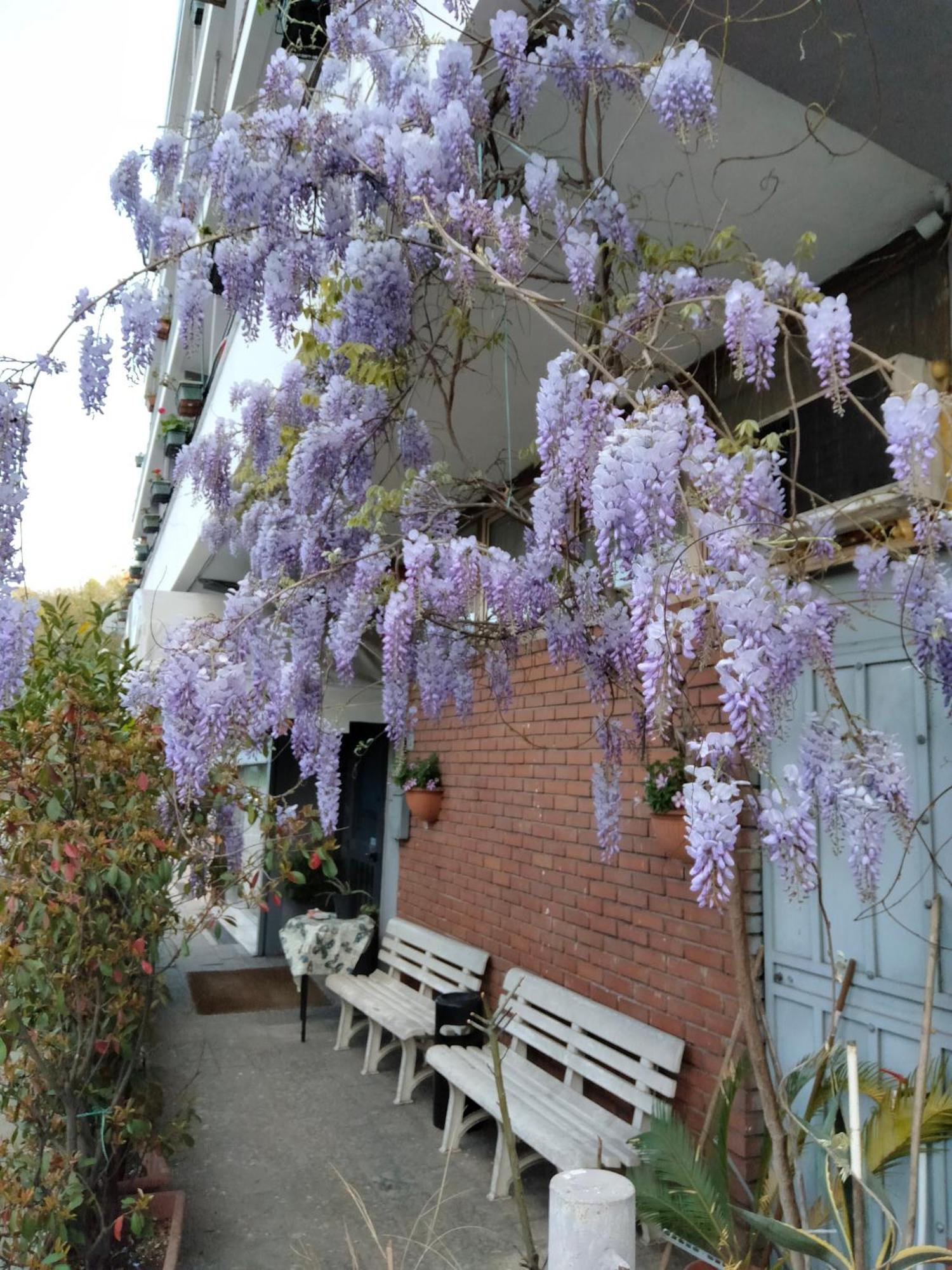 Hotel Lombardia Seveso Dış mekan fotoğraf